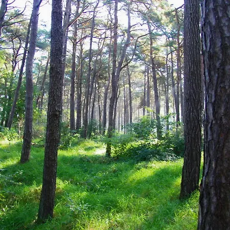 Wellenbrecher - Rügen Ferienhaus