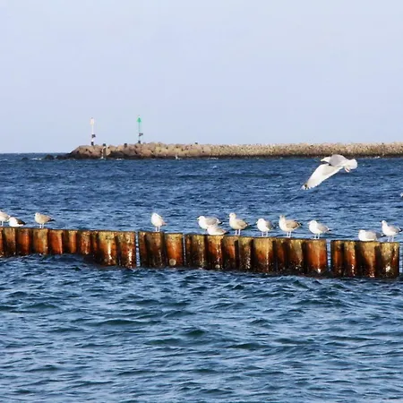 Wellenbrecher - Rügen Ferienhaus *